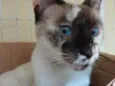 Esmeralda