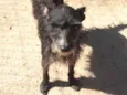 Nikita