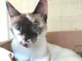 Esmeralda