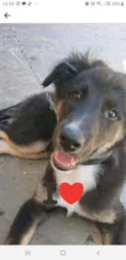 Romeu