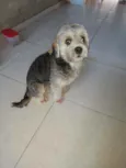 Boby