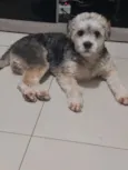 Boby