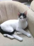 Mia