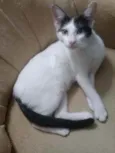 Mia