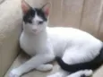 Mia