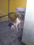 Jorge