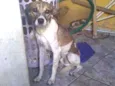 Jorge