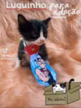 Luguinho