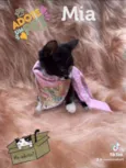 Mia