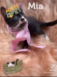 Mia