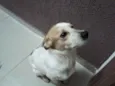 Piter