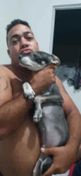 Maicon