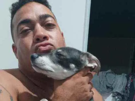 Cachorro raça Sem raça idade 2 a 6 meses nome Maicon