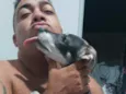 Maicon