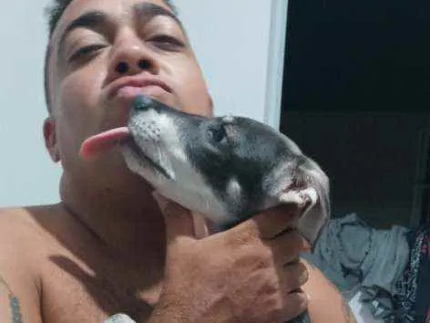 Cachorro raça Sem raça idade 2 a 6 meses nome Maicon
