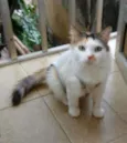 Mayka