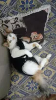 Mayka