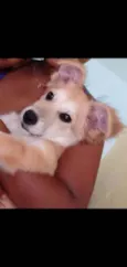 Nina