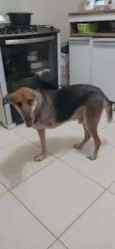 Boris