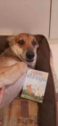 Boris