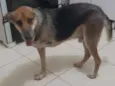 Boris