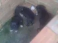 Não tem 