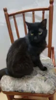 Felicia
