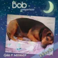 Bob