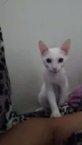 Billy
