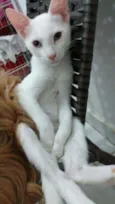 Billy