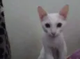 Billy