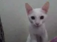 Billy