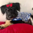 Julie 