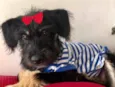 Julie 