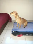 MEL