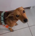 MEL