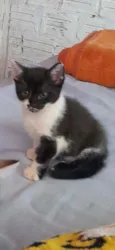 Não tem nome