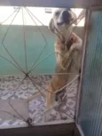 Meia Noite