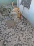 Meia Noite