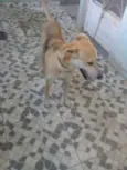 Meia Noite