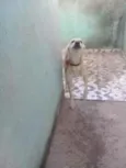 Meia Noite