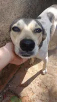 Princesa