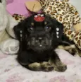 Raika 