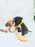 Cachorro raça SRD  idade Abaixo de 2 meses nome Sem Nome