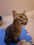 Zen