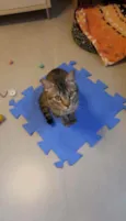 Zen