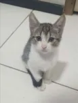 ........