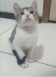 ........