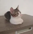 ........