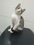 ........